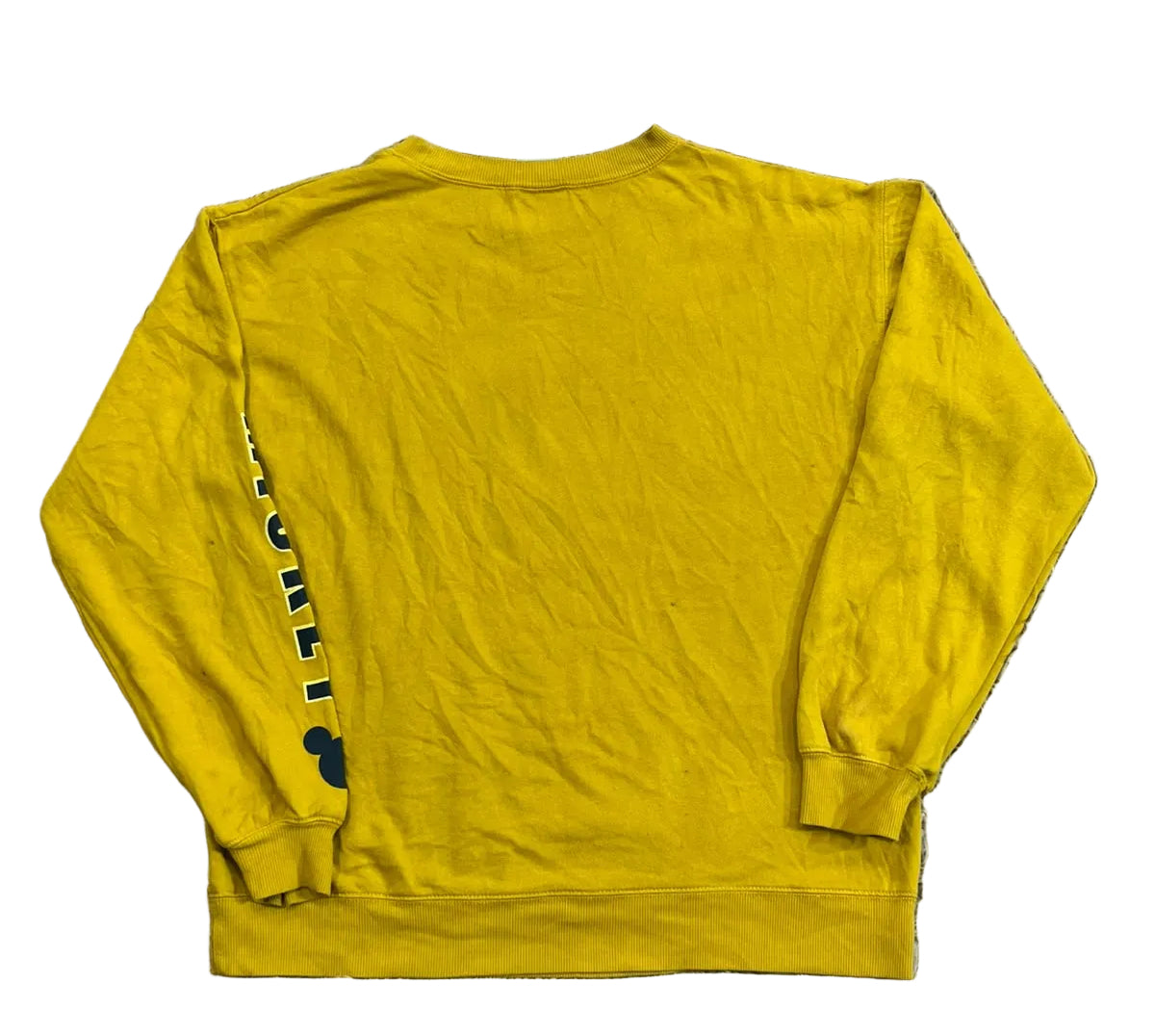 DISNEY MEN SWEAT SHIRT ON THE WHITE BACKGROUND