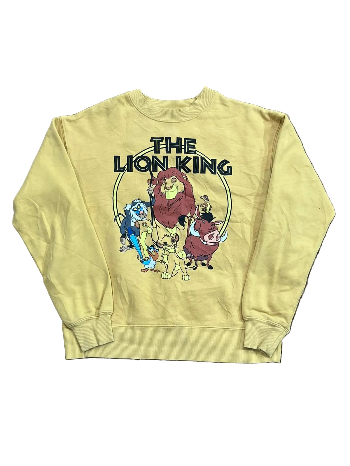 DISNEY MEN SWEAT SHIRT ON THE WHITE BACKGROUND
