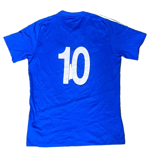 A royal blue short-sleeve soccer jersey showing the back with a large white number 10 printed on the center.