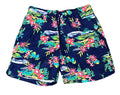 HAWAII MEN SHORTS ON A WHITE PLAIN BACKGROUND 
