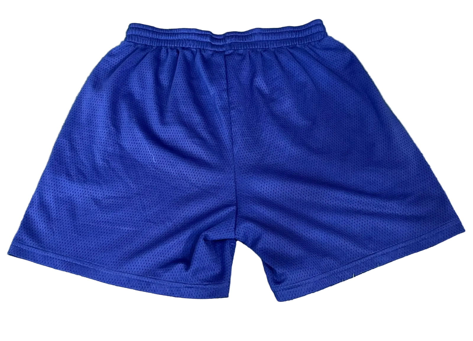Blue athletic mesh shorts 